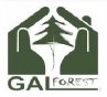 Gal Forest SRL