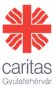 Asociatia Caritas Alba Iulia