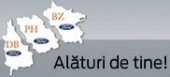 SC Proleasing Motors SRL