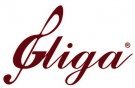 SC Gliga Companies SA