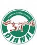 Diana SRL