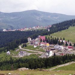 Oraşul Novaci
